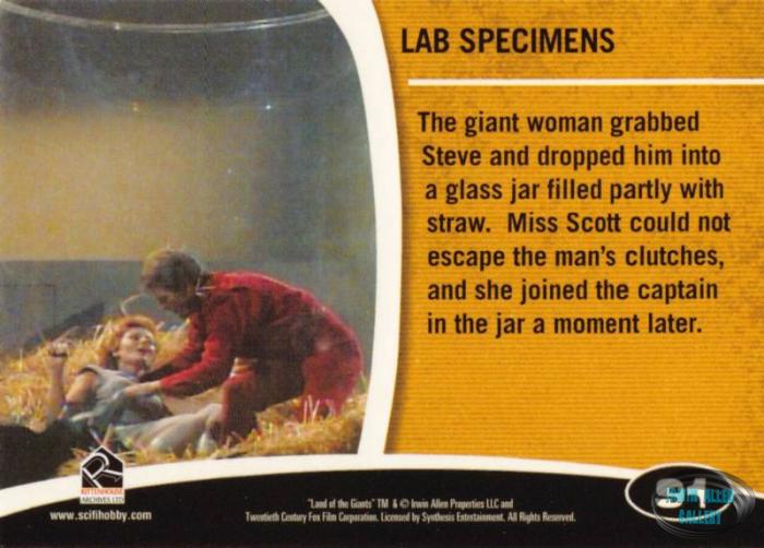 Fantasy Worlds Card Back #91