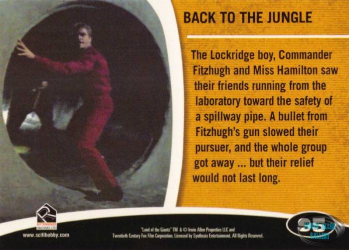 Fantasy Worlds Card Back #95
