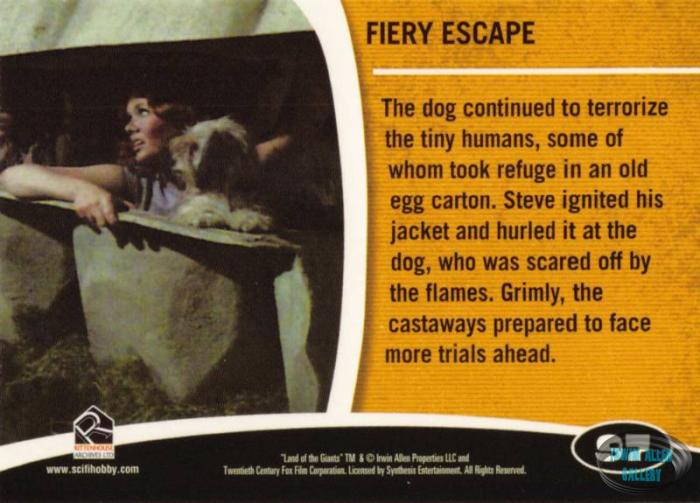 Fantasy Worlds Card Back #97