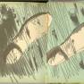 Flight of Fear End Papers