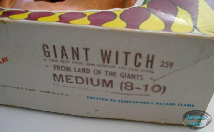 Giant Witch Halloween Costume