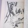 Japanese Land of the Giants 1983 Novel