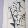Japanese Land of the Giants 1983 Novel