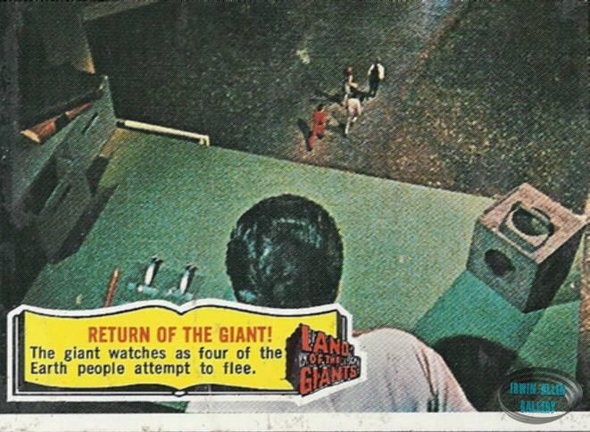 Front of US Topps Card #19