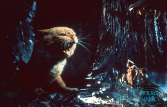 Giant Cat in The Crash