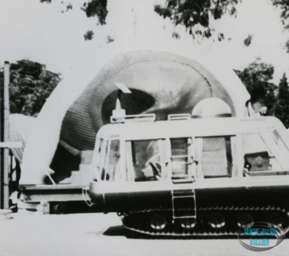 Giant Shell from The Shell Game
