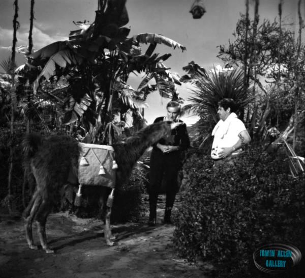 Jonathan Harris and Stanley Adams