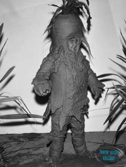 Stanley Adams as Tybo