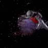 Condemned of Space Effects