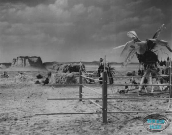 Exterior set photo