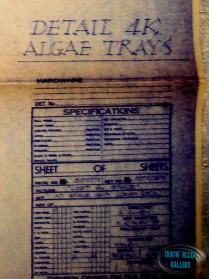 Algae Tray