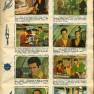 Brazillian Sticker Album