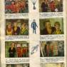 Brazillian Sticker Album