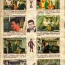 Brazillian Sticker Album