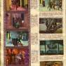 Brazillian Sticker Album