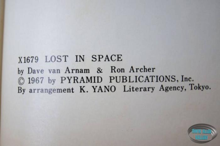 Japanese Lost in Space Novel