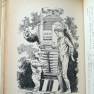 Japanese Lost in Space Novel