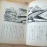 Japanese Lost in Space Novel