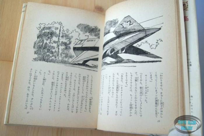 Japanese Lost in Space Novel