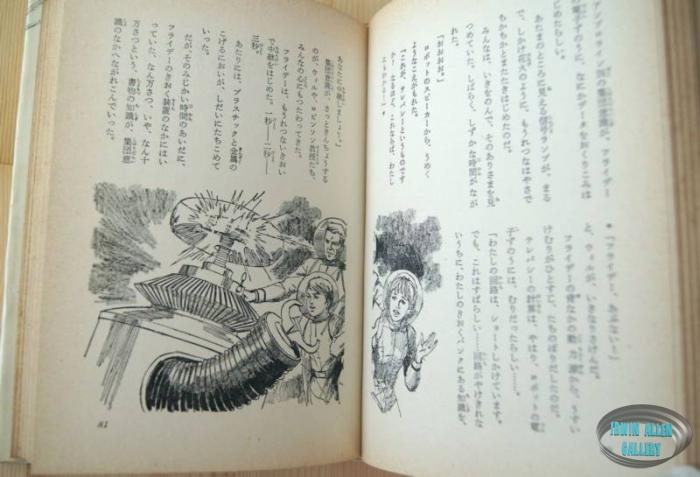 Japanese Lost in Space Novel