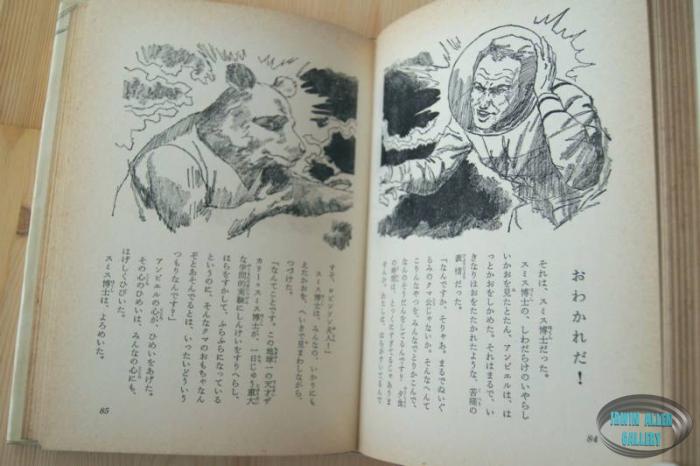 Japanese Lost in Space Novel