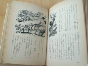 Japanese Hardback Novel