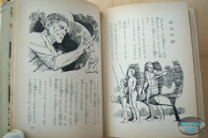 Japanese Lost in Space Novel