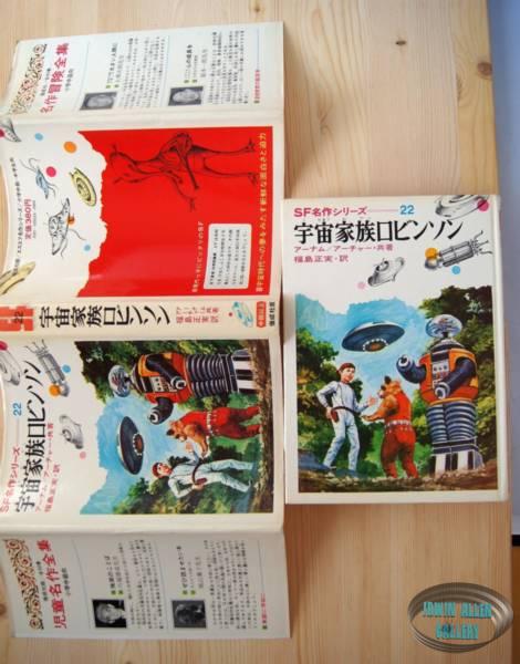 Japanese Lost in Space Novel
