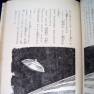 Lost in Space Japanese Hardback