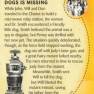 Lost in Space Archives Series 1 Base Card #13 Back