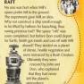 Lost in Space Archives Series 2 Base Card #12 Back