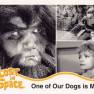 Lost in Space Base Card #15