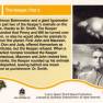 Lost in Space Base Card #19 Back