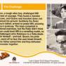 Lost in Space Base Card #24 Back