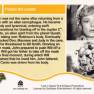 Lost in Space Base Card #31 Back
