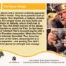 Lost in Space Base Card #52 Back