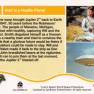 Lost in Space Base Card #65 Back