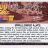 Ron Gross Base Card #07 Back