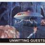 Ron Gross Base Card #08