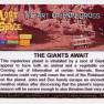 Ron Gross Base Card #15 Back