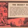 Lost in Space Topps #32 Back