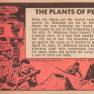Lost in Space Topps #37 Back