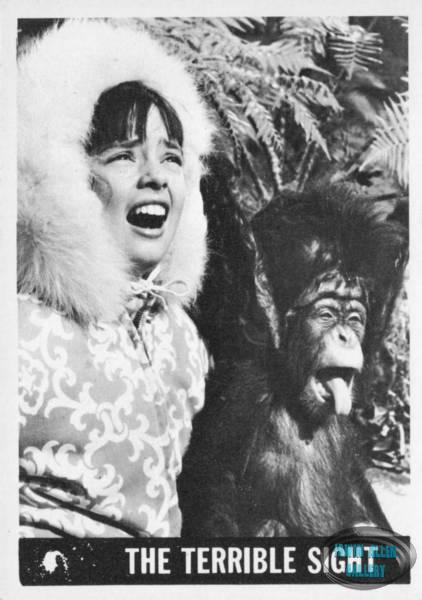 Lost in Space Topps #38
