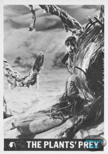 Lost in Space Topps #39