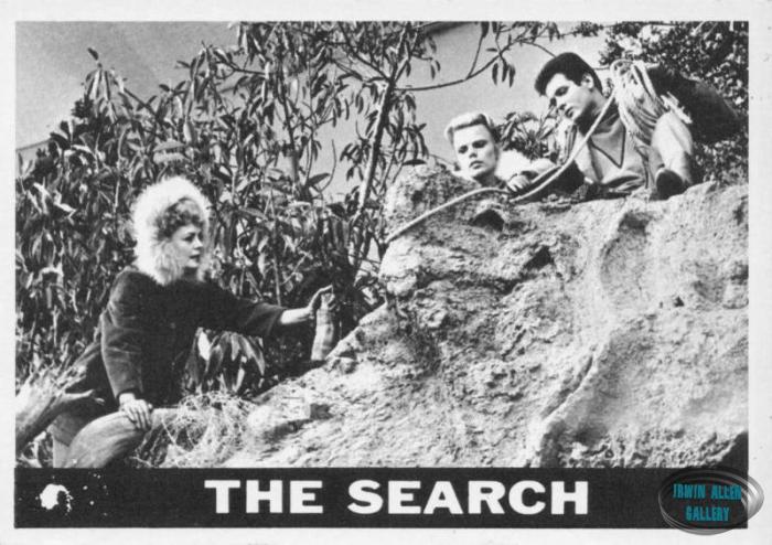 Lost in Space Topps #43