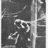Lost in Space Topps #44