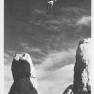 Lost in Space Topps #52