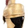 Dr. Smith Roman Helmet