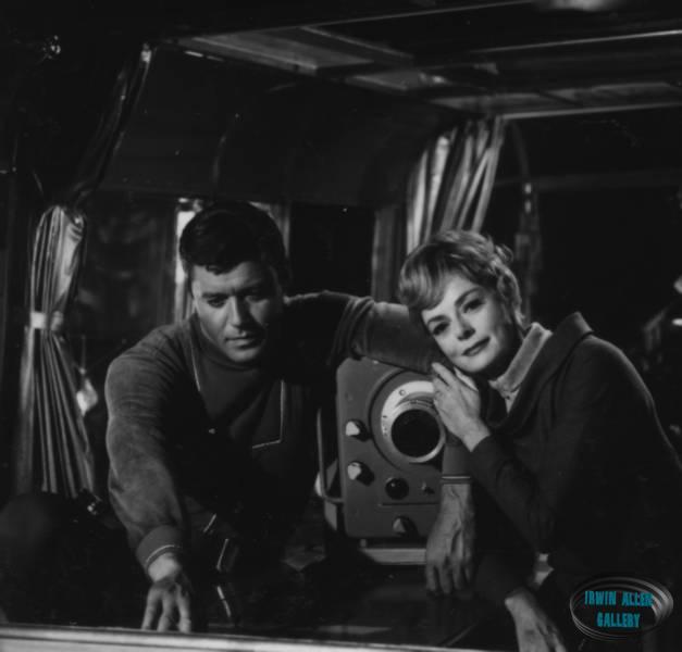 Guy Williams