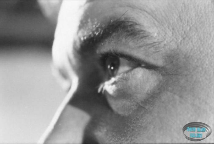 Close-up of Guy Williams